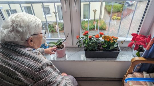 Blumenkästen Indoor